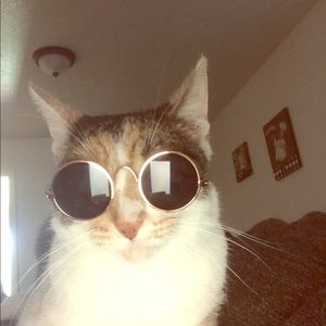 Meet your Posher, Lizymar